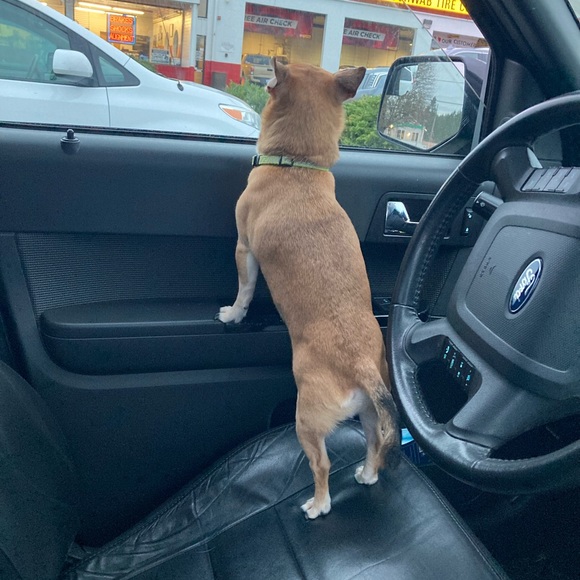 Meet your Posher, Mf side hustle - Picture 4 of 5